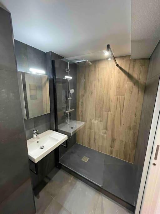 Apartment Gare - Elegant Pour Pros Ou Touristes *
